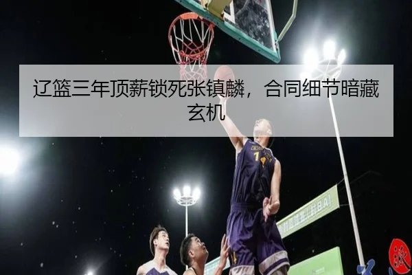 liao-lan-san-nian-ding-xin-suo-si-zhang-zhen-lin-he-tong-xi-jie-an-cang-xuan-ji-2-867.jpg