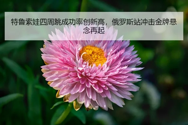 te-lu-suo-wa-si-zhou-tiao-cheng-gong-lv-chuang-xin-gao-e-luo-si-zhan-chong-ji-jin-pai-xuan-nian-zai-qi-3-833.jpg
