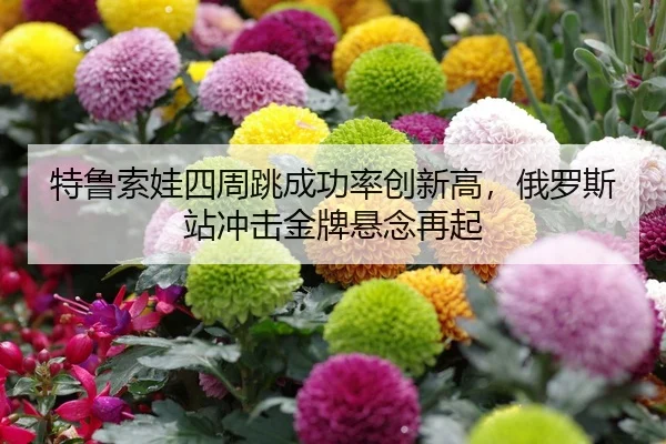 特鲁索娃四周跳成功率创新高，俄罗斯站冲击金牌悬念再起